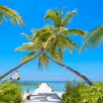 Tropical beach with palm trees and wooden pier.